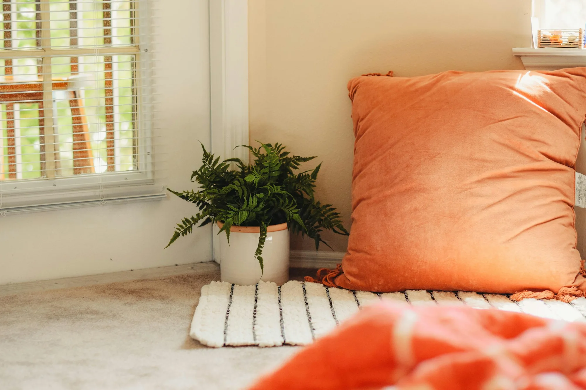 A cozy reading nook with cushions and a plant by a window