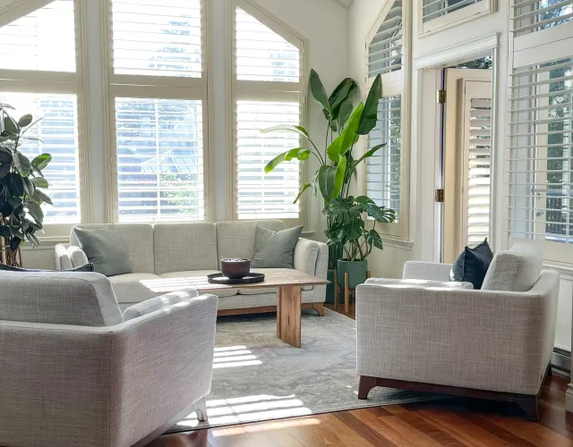 Sunlit therapy lounge