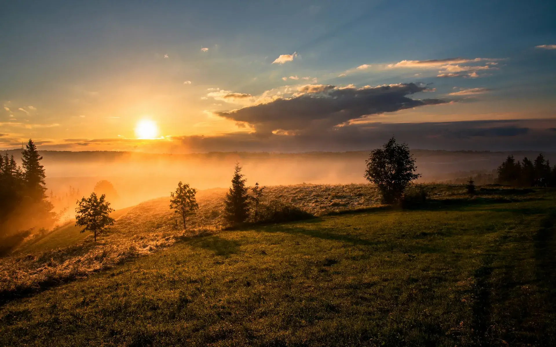 Sunrise over a misty meadow